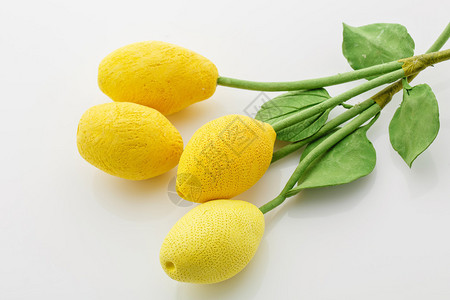 美丽的人工手制作的手工艺用柠檬树枝躺在白色背景图片