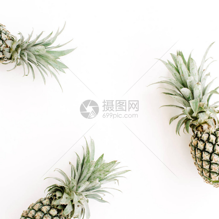 3个菠萝框架平图片