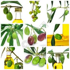 许多橄榄和橄榄油瓶的九张图片