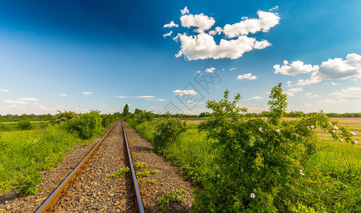 春天的偏远农村风景铁路图片