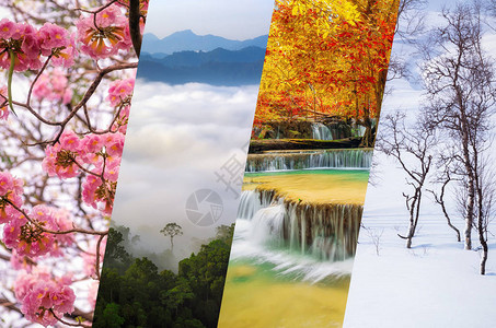 美丽的自然拼贴画一年中的四个季节拼贴画图片