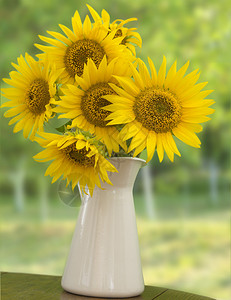 白色花瓶里的向日葵图片