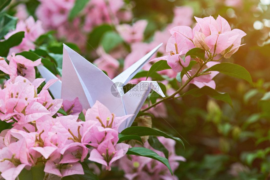 花枝上白一只纸鹤的宏图图片