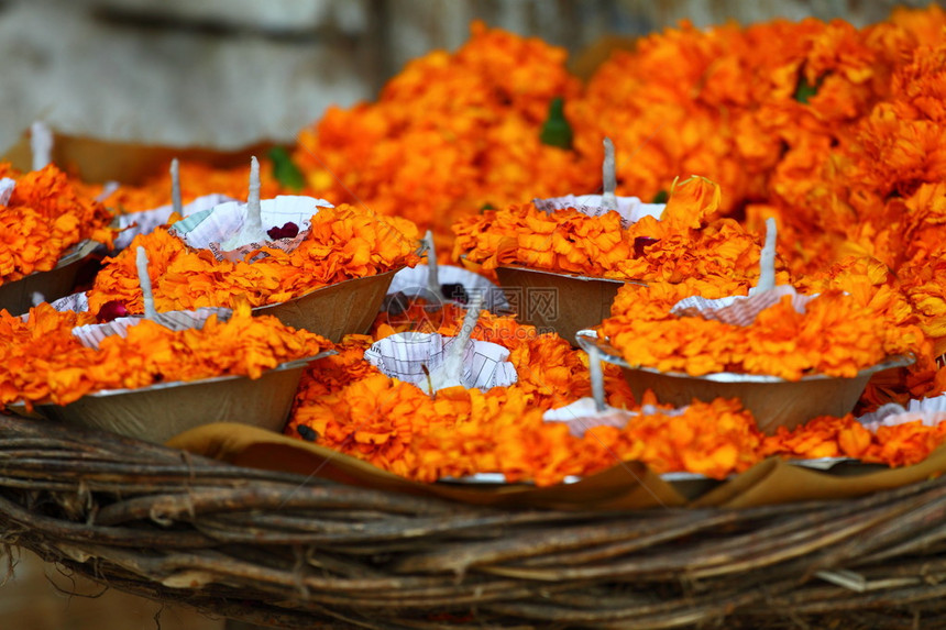 印地亚的Holi节和宗教祭图片