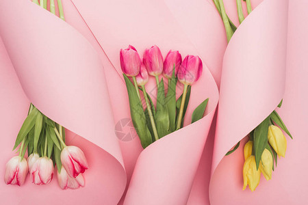 粉红色背景上用纸螺旋环绕包着的粉红图片