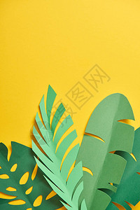 黄背景绿色棕榈叶有复制空间的外观纸图片