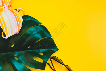 热带雨林棕榈树花叶太阳镜和女泳衣顶部的绿色黄纸背景暑假具有创造平板图片