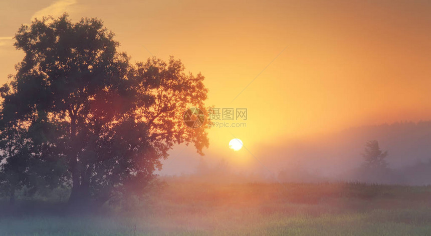 在草原上弥斯底日出升起照亮了夏天的景象美丽图片