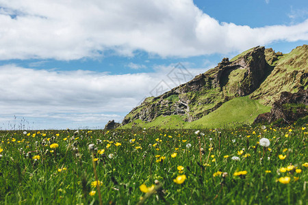 冰岛山附近的绿草地有图片