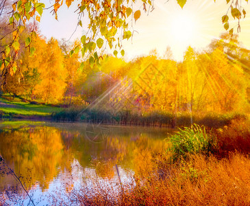落下秋季公园阳光秋天图片