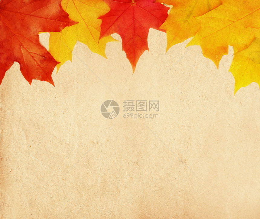 秋天的背景复古的枫叶图片