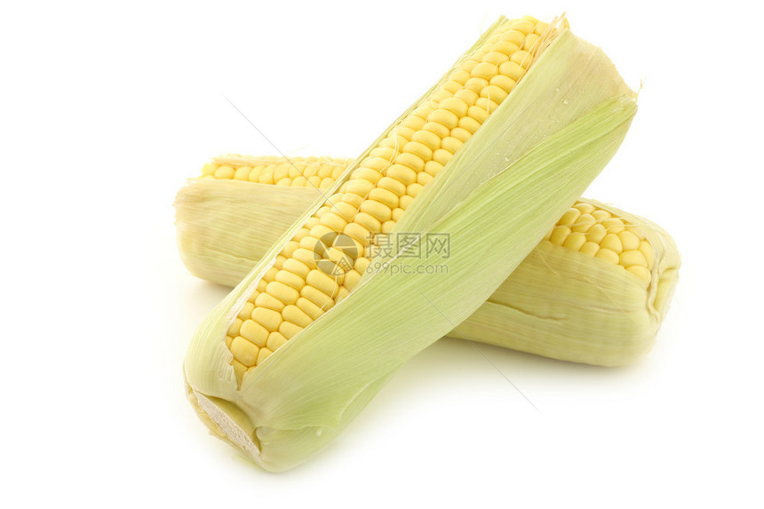 白色背景上的新鲜玉米棒图片