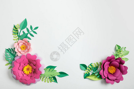 粉红纸花和绿色植物的顶部视图树背景图片
