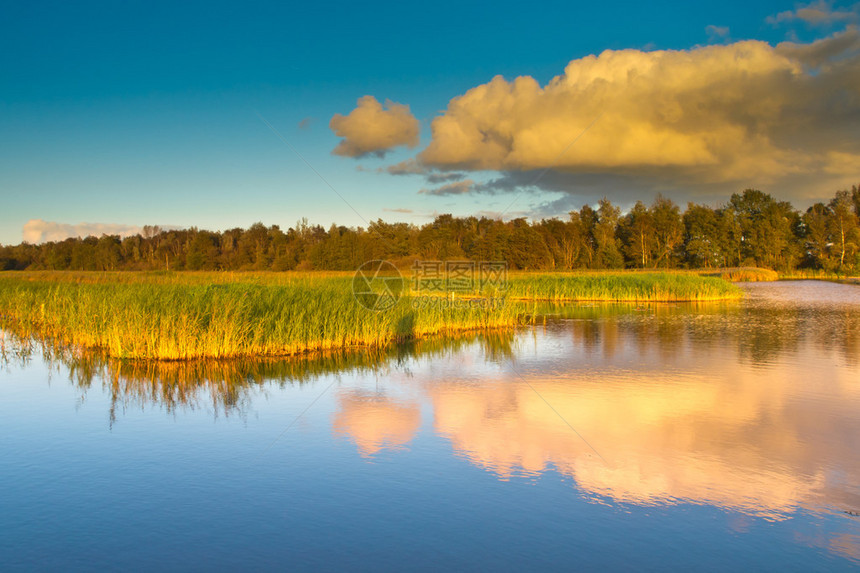荷兰公园Weerribben的一个沼泽地图片