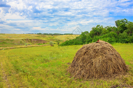 俄罗斯在天空干草田的风景俄罗斯伏图片