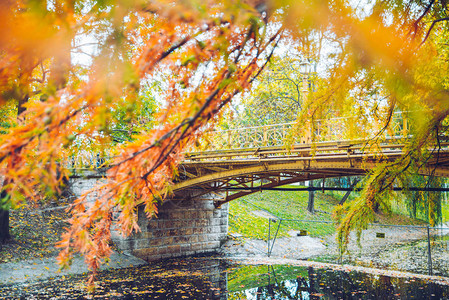 秋天的乡村森林景观有河桥的公园图片