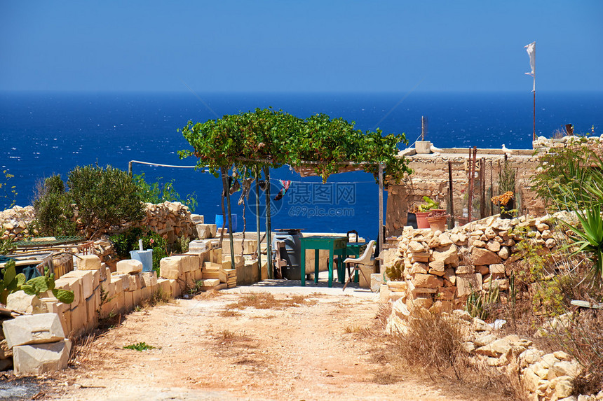 马耳他岛南海岸带石栅栏和葡萄覆盖的树冠的老麦芽图片