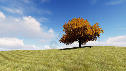 秋唱黄树3D渲染图片