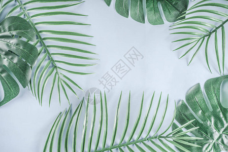热带背景蓝背景上的棕榈叶和龟背竹叶Flatlay图片