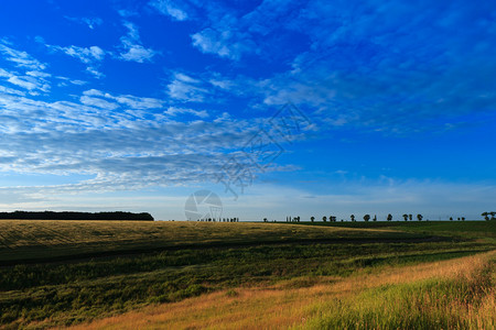 农田和蓝天白云图片