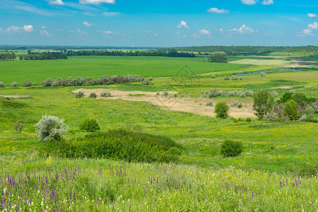 乌克兰中部奥里尔河附近有农田和水草的夏季风景图片