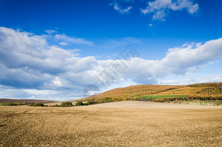棕色的田野和蓝天图片