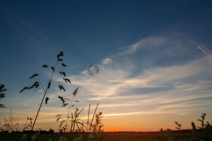 田野的景色日落草原的夏夜温图片