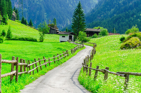 阿尔卑斯山高峰背景下的乡村公路和绿色高山草原图片