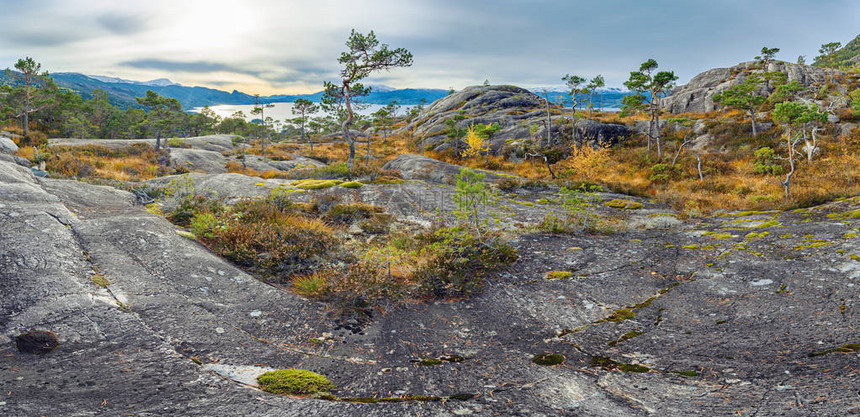 挪威岩石和遥远的峡湾全景图片
