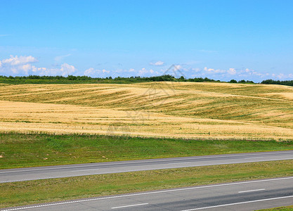 小麦田地和蓝天背景下道图片