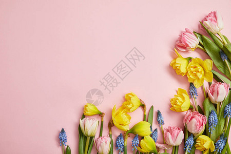 粉红的鲜粉红色郁金香花青春和图片