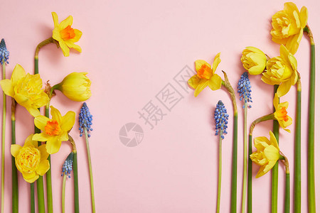 粉红色背景上美丽的蓝色青绿和黄色花朵及复图片