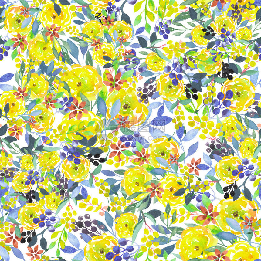黄花蓝叶和白底漆为水彩色的浆果图片