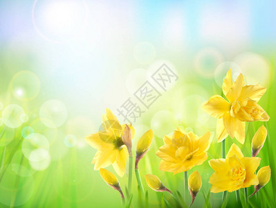 春天的自然背景有黄图片