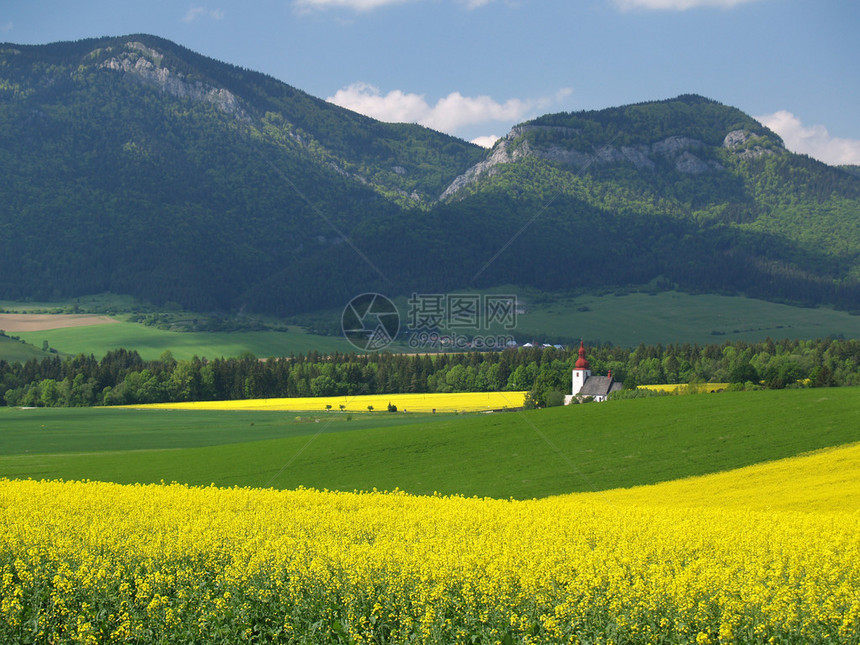黄色领域山和圣拉迪斯拉夫历史的夏天视图在背景中这个场景位于斯洛伐克的LiptovskeMatiasovce村附近圣拉迪斯拉夫教堂图片