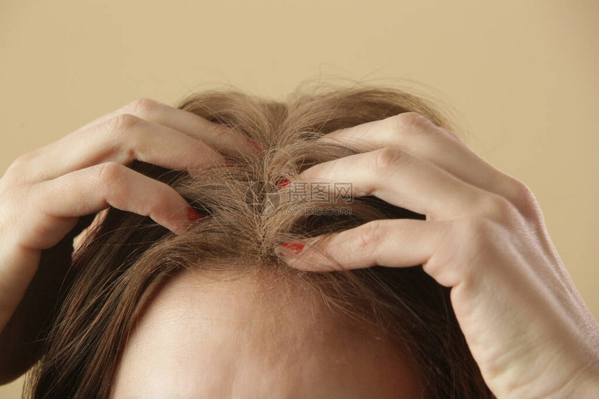 近距离观察女在发根上涂抹天然干洗发水布鲁内特使用不含有机无毒化学物质的干洗发水健康低毒零浪图片