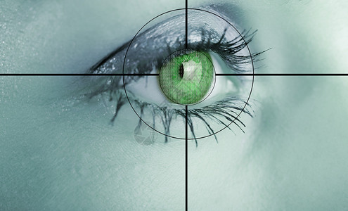 眼系统安全识别图片
