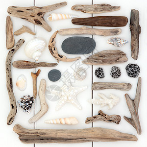 贝壳漂浮木和石块的抽象拼图在木图片