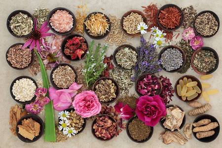 草药和花卉选择用于草药治疗麻纸背景上的牛皮癣和图片