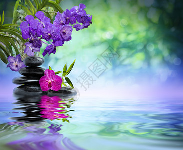 紫兰花水面上的黑石背景图片