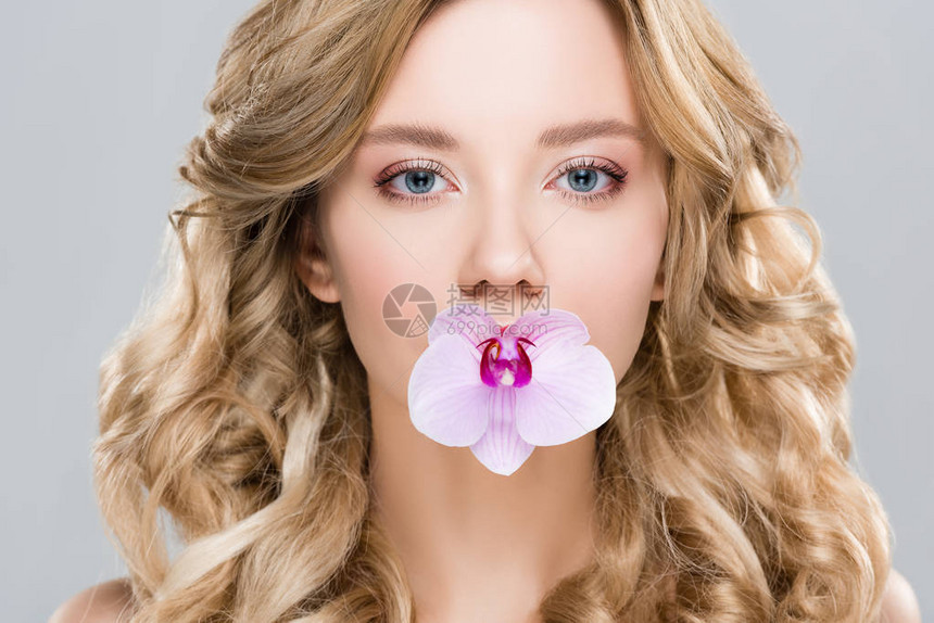 将紫兰花放在嘴中的年轻美丽的年轻女子隔离图片