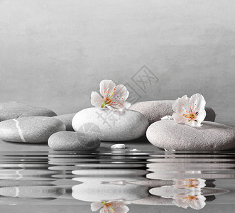 灰色背景中美丽的花石禅温泉图片
