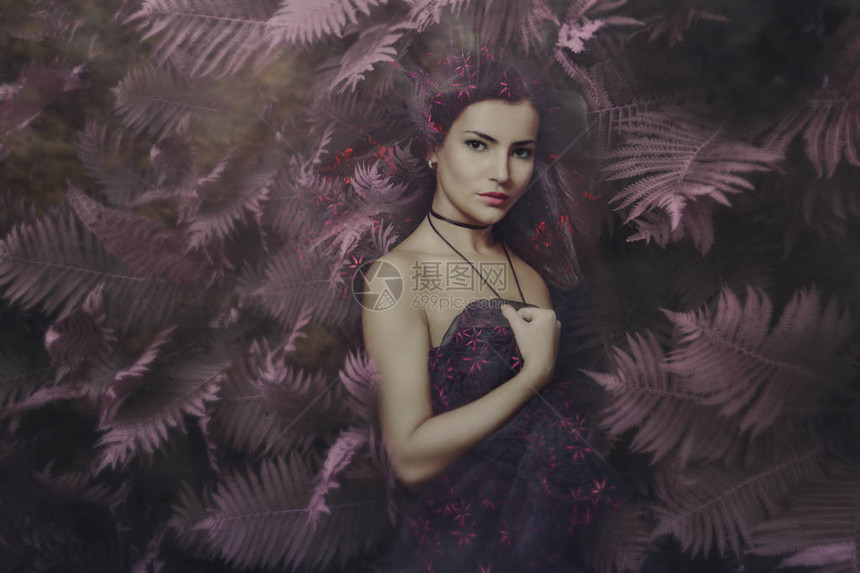 魔法森林肖像中的美丽仙女图片