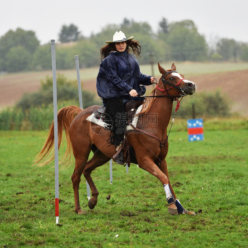 年轻女牛仔骑着一匹漂亮的油漆马在竞技场图片