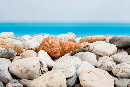 海滩上的石头和图片