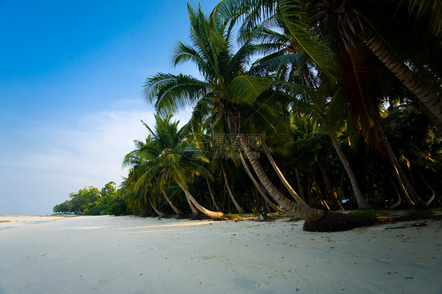 印度安达曼群岛哈沃克岛的Radhanagar海滩第七号海滩上一片空旷图片