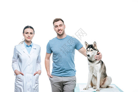 女兽医和微笑的男子与霍斯基在兽医桌上在白图片