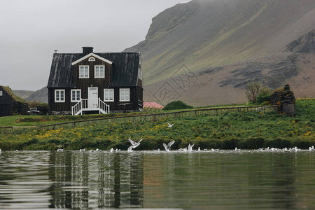冰岛绿山上的孤单房子图片
