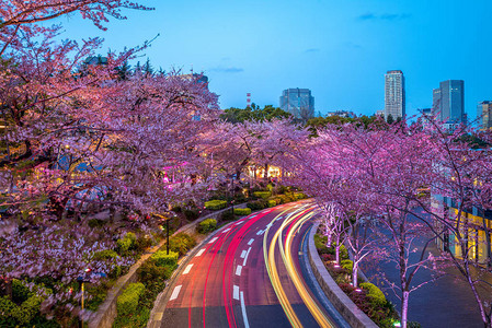 日本六木东京中城夜景图片