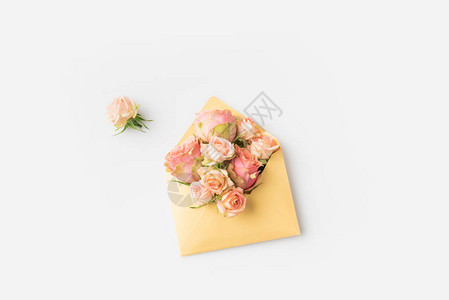 信封中美丽的粉红玫瑰图片